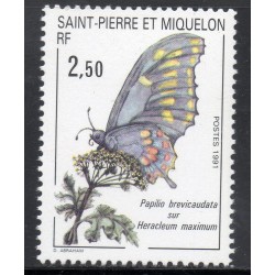 Timbre Saint Pierre et Miquelon 534 Papillon Brevicaudata neuf ** 1991