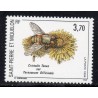 Timbre Saint Pierre et Miquelon 594 Cristalis tenax neuf ** 1994