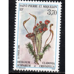 Timbre Saint Pierre et Miquelon 611 Dicranum scoparium neuf ** 1995