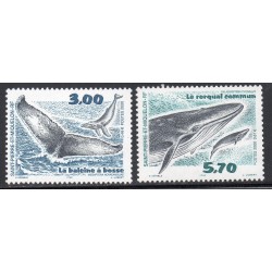 Timbre Saint Pierre et Miquelon 707-708 cétacés neuf ** 2000