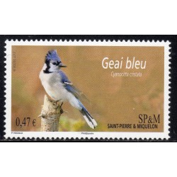 Timbre Saint Pierre et Miquelon 1058 Oiseau le Geai bleu neuf ** 2013