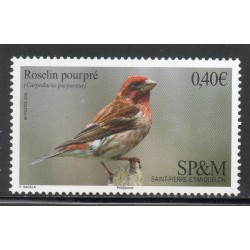 Timbre Saint Pierre et Miquelon 1148 Oiseau, le Roselin pourpré neuf ** 2016