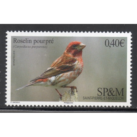 Timbre Saint Pierre et Miquelon 1148 Oiseau, le Roselin pourpré neuf ** 2016