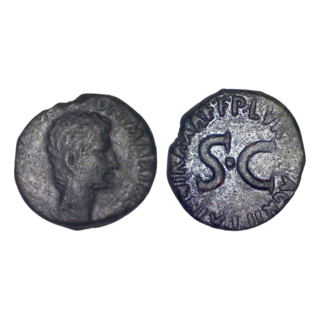 As d'Auguste (-7) RIC 428 sear 1686 atelier Rome C Lurius Agrippa