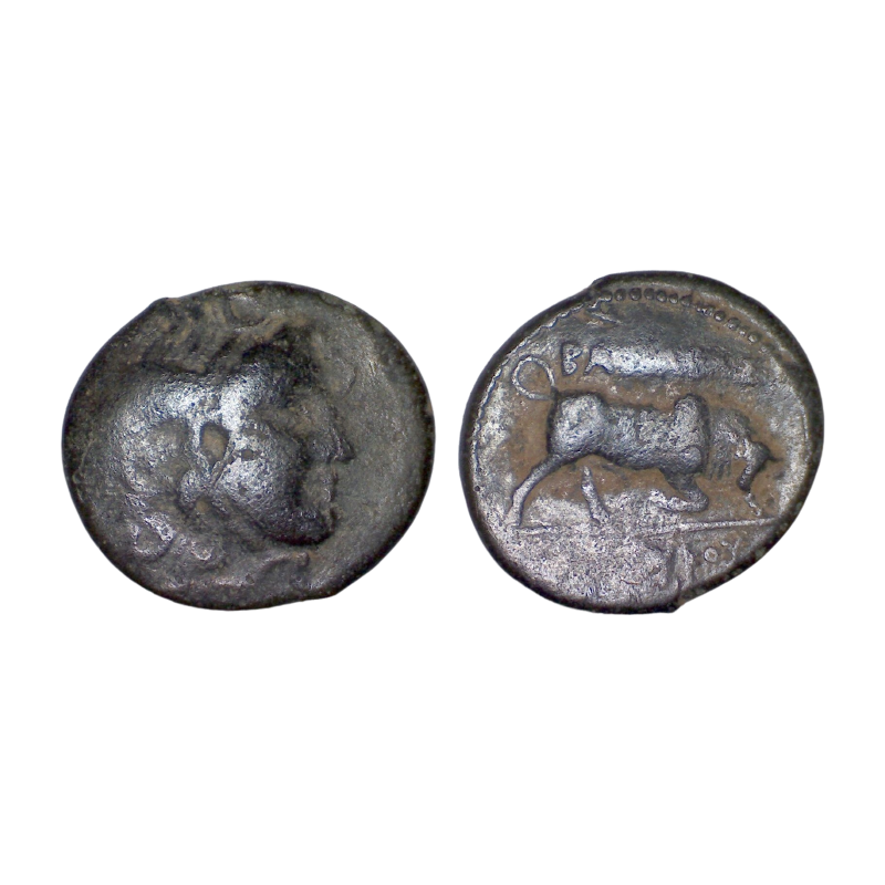 Syrie, SÉLEUCIDE Seleucos 1er AE19 Chalque (-312 à -280) Antioche