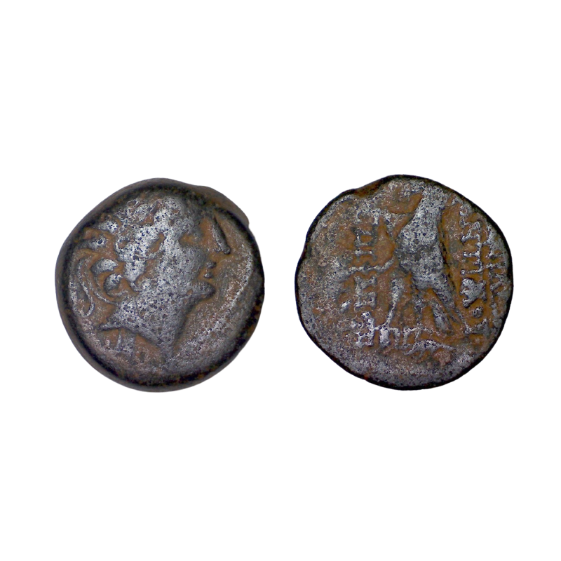 Syrie, SÉLEUCIDE Antiochos VIII ae19 chalque Cuivre (-121 à -97)
