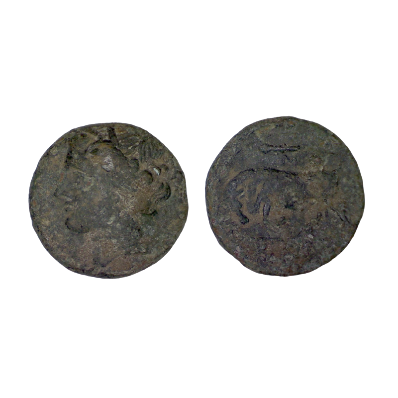 Sicile, Syracuse Hieron II Ae18 Litra (-275 à -215) Kore, Taureau