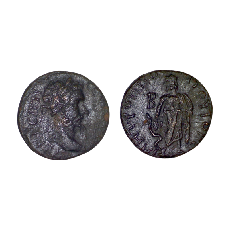 Ae21 Séptime Sévère, province de Moésie inférieure, Tomis  (193-211) Esculape