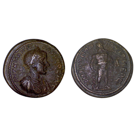 Ae26 Gordien III province de Moésie inférieure, Tomis (238-244) Esculape