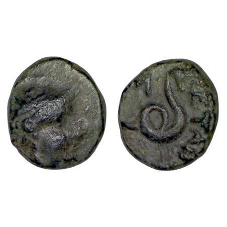 Mysie, Pergame, roi Philetaerus Ae15 unité Cuivre (-200 à -100) serpent