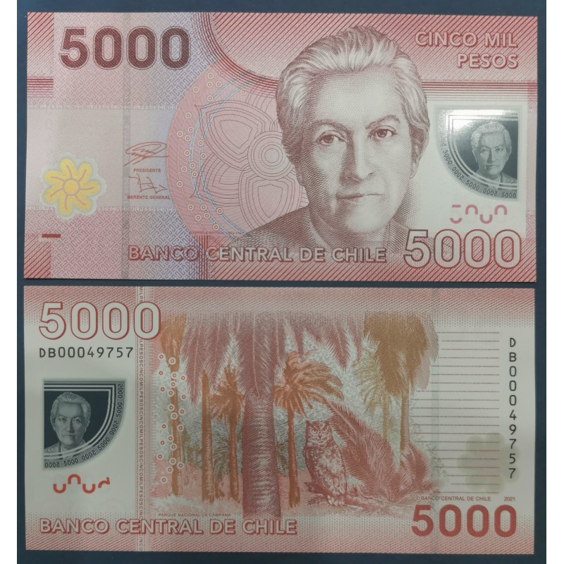 Chili Pick N°163h, neuf Billet de banque de 5000 Pesos 2021