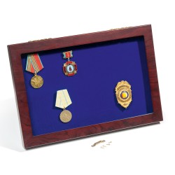Vitrine d'exposition pour médailles et décorations militaires, velours bleu