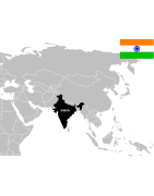 Pièces de monnaie des états princier d'Inde de collection