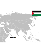 Pièces de monnaie de Palestine de collection