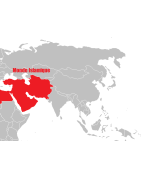 Pièces de monnaie des états du monde Islamique depuis les Sassanides