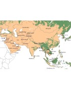 Pièces de monnaie du monde du continent Asie par Pays