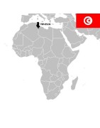 Tunisie