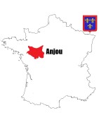 Pièces de monnaie Féodales du comté d'Anjou