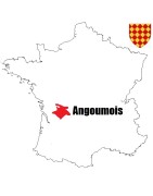 Pièces de monnaie Féodales d'angoumois pour les comtes d'Angoulême