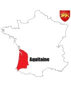 Pièces de monnaie Féodales du duché d'Aquitaine et de guyenne