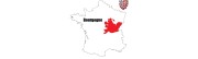 Pièces de monnaie Féodales du duché de Bourgogne