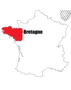 Pièces de monnaie Féodales du duché de bretagne et pentièvre