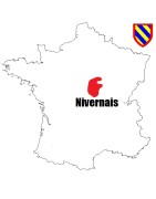 Pièces de monnaie Féodales du Nivernais, comté de Nevers