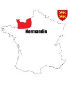 Pièces de monnaie Féodales du duché de normandie et comté d'evreux