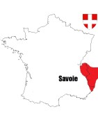 Pièces de monnaie Féodales du comté et duché de Savoie