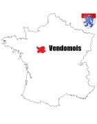 Pièces de monnaie Féodales du vendomois, comté de Vendome