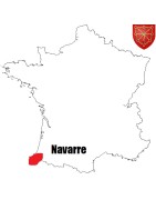 Pièces de monnaie Féodales du Royaume de Navarre