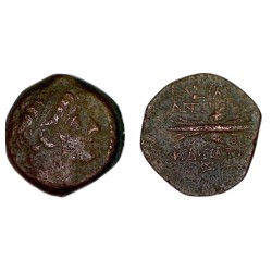 Syrie, SÉLEUCIDE Antiochos IX Chalque Cuivre (-114 à -95) foudre