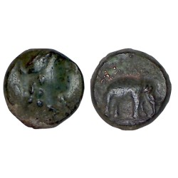 Syrie, SÉLEUCIDE Antiochos VI Chalque Cuivre (-145 à -142) Elephant