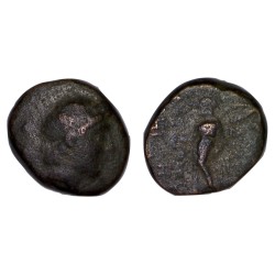Syrie, SÉLEUCIDE Antiochos III HemiChalque Cuivre (- 223 à -187) Sardes