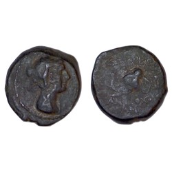 Syrie, SÉLEUCIDE Antiochos IV ae16 Chalque Cuivre (- 175 à -164) Laodice