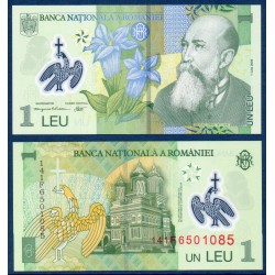 Roumanie Pick N°117i, Billet de banque de 1 leu 2014