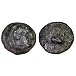 Macedoine, Antigonos Gonatas Ae19 cuivre (-277 à -239) Heracles Cheval