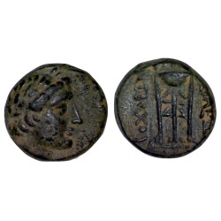 Syrie, SÉLEUCIDE Antiochos 1er AE18 Chalque (-280 à -261) Antioche