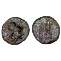 Syrie, SÉLEUCIDE Seleucos II AE18 Chalque (-246 à -226) Antioche