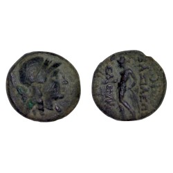 Syrie, SÉLEUCIDE Seleucos II AE15 cuivre Chalque (-246 à -226) syrie occidentale