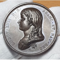 Medailles Louis XVII Souvenir de la mort, Tiollier 1795 bronze