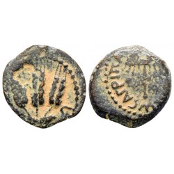 judée, Royaume d'Hérode Agrippa 1er Prutah cuivre (41 à 42) Jerusalem
