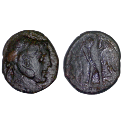 Egypte, Royaume Lagide - Ptolémée II Chalque (-281 à -246)