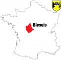 Blesois