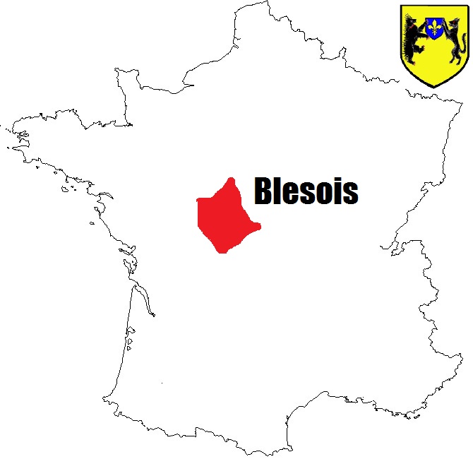 Les pièces de monnaie feodale du comté de blois dans le BLesois